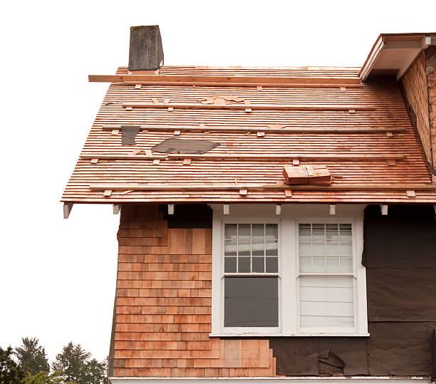 Best Storm Damage Siding Repair  in Virden, IL